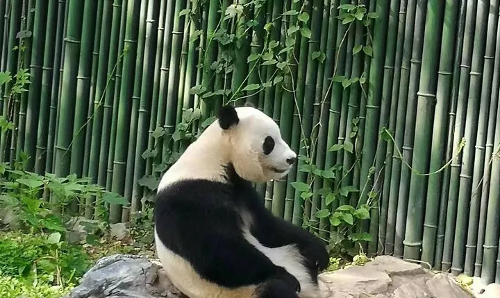 3 Days Private Boutique Tour With Peking Roast Duck