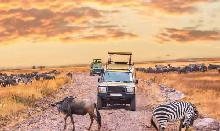 2- Days Tanzania Private (Budget) Safari