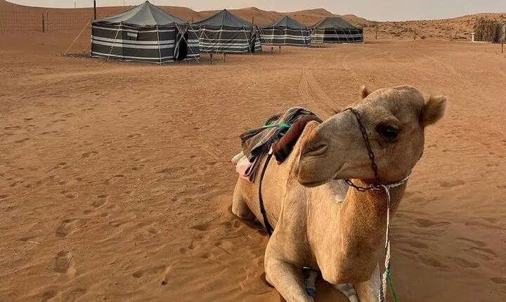 Private Tour in Wahiba Sands and Wadi Bani Khalid Adventure