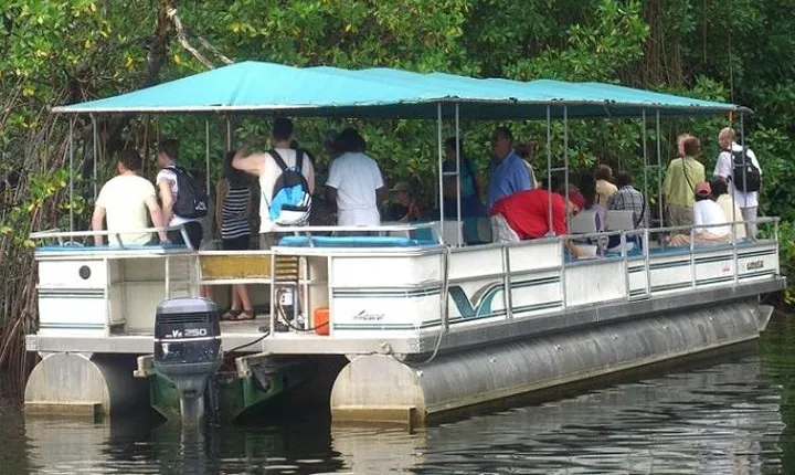 Private Black River Safari Tour from Montego Bay