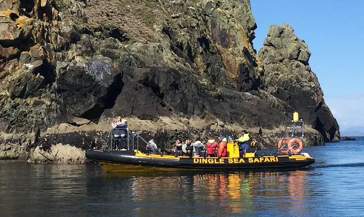 Exhilarating Rib experience - Dingle sea safari 