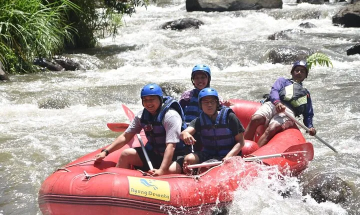 Bali Ayung River Rafting and Denpasar City Private Tour