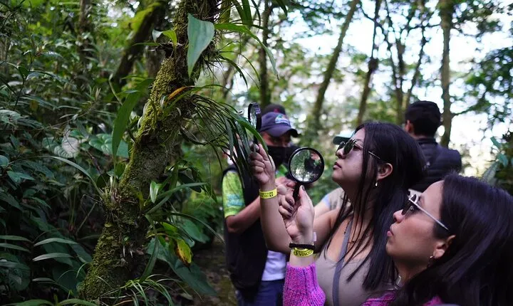 Half Day Shared Tour to an Orchid Sanctuary from Coban
