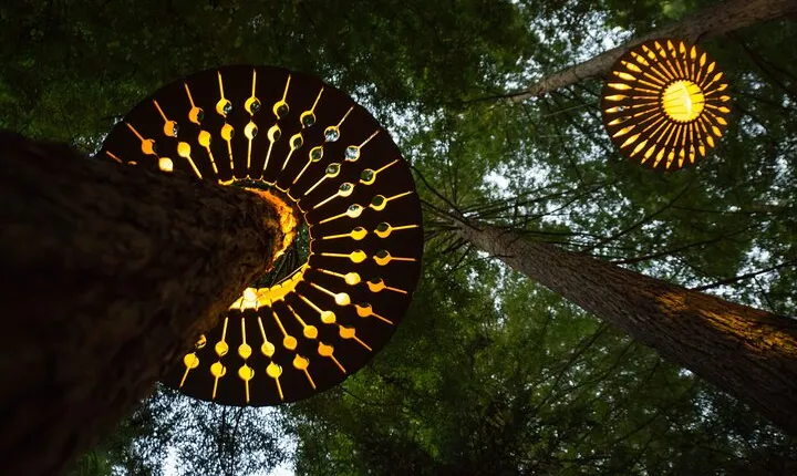 Rotorua: Redwoods Adventure 3-Hours