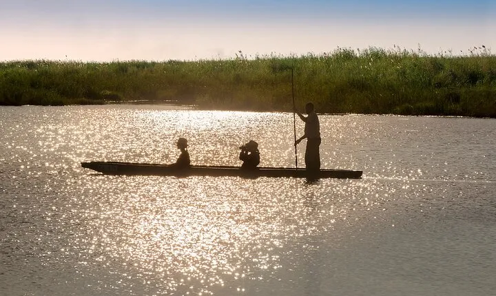 Overnight Mokoro Experience in the Okavango Delta 