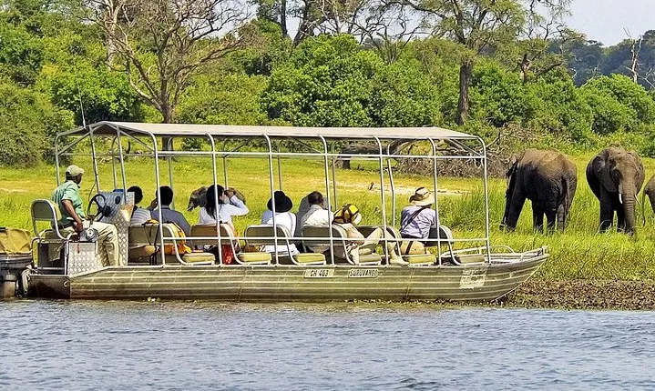Chobe Day Trip In Botswana
