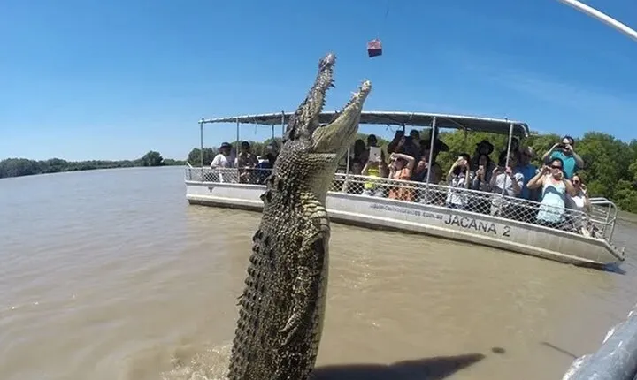 The Croc Bus to the Famous Jumping Crocodile Cruise