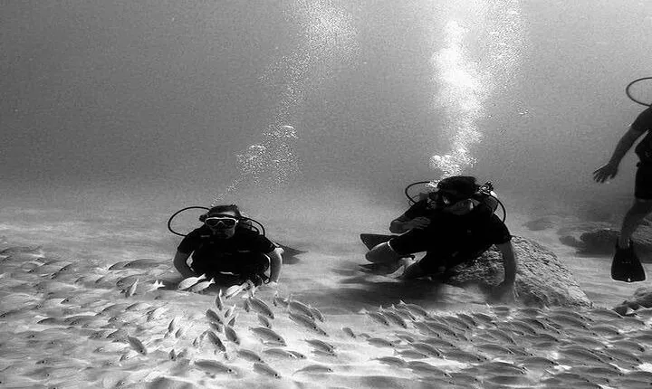 No Certification Required Scuba Dive and Island Tour with Guide