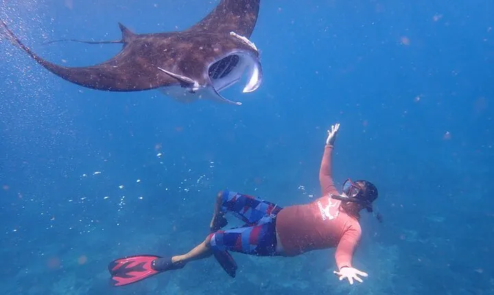 From Bali: Snorkeling with Manta Rays in Nusa Lembongan & Penida