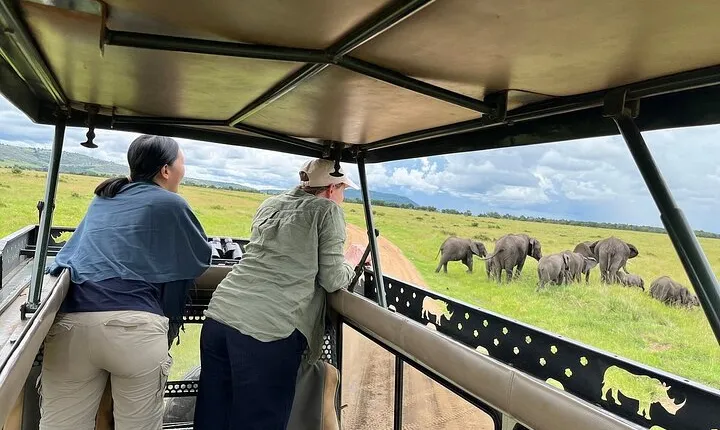 6 Day Big 5 Wildlife Safari Tour on 4x4 Land Cruiser Jeep