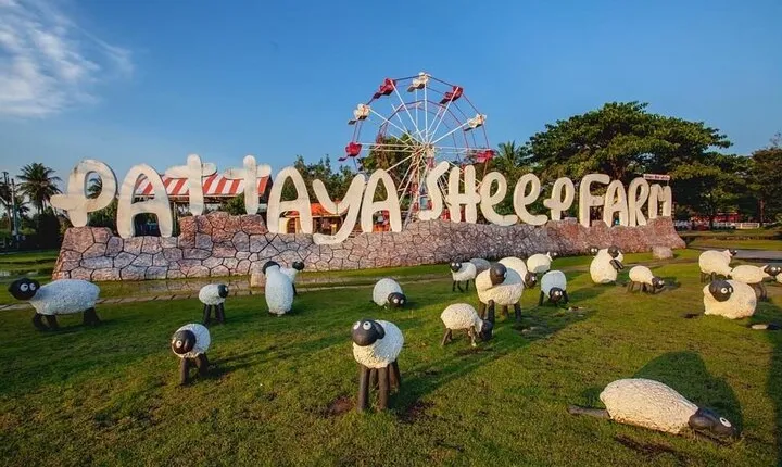 Pattaya sheep Farm Entrance Tickets