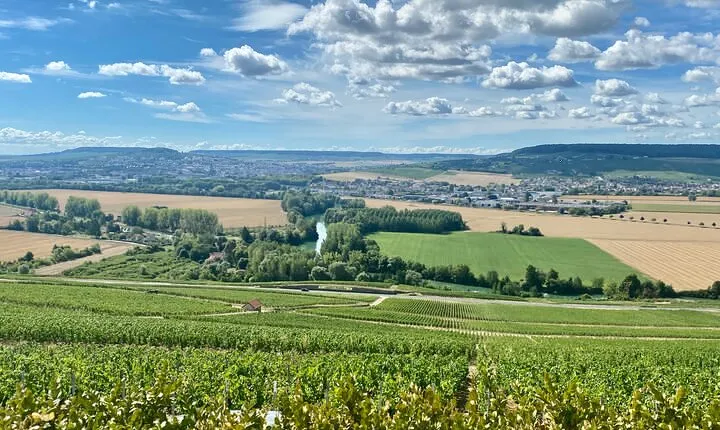 Champagne Boizel since 1834 Private trip from Paris