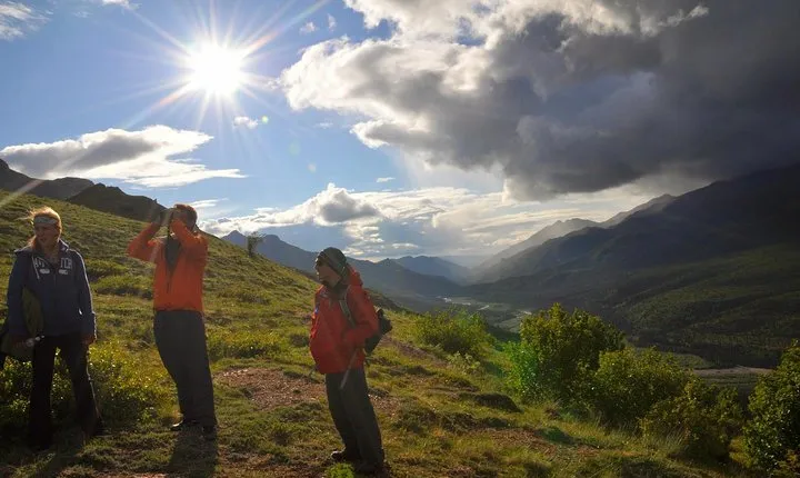 Denali 5 Hour Hiking Tour with Naturalist Guide
