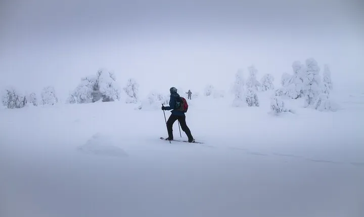 SNOWSHOEING The white walk