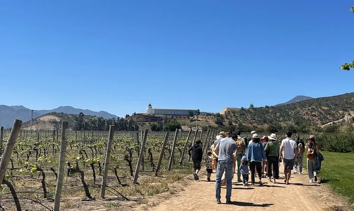 Full Day Private Tour in Casablanca Valparaíso and Viña del Mar