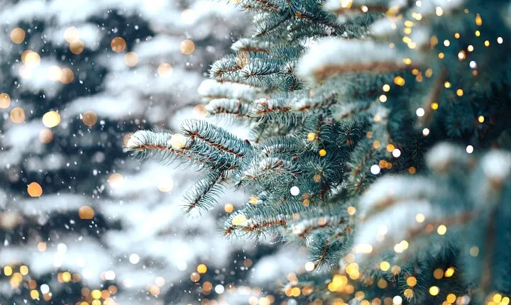 Private Enchanting Nashville Christmas Lights Tour