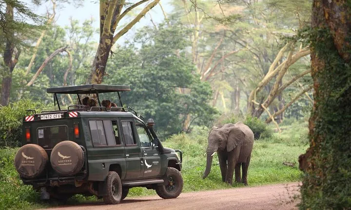 8 Days Best of Tanzania Wildlife Safari