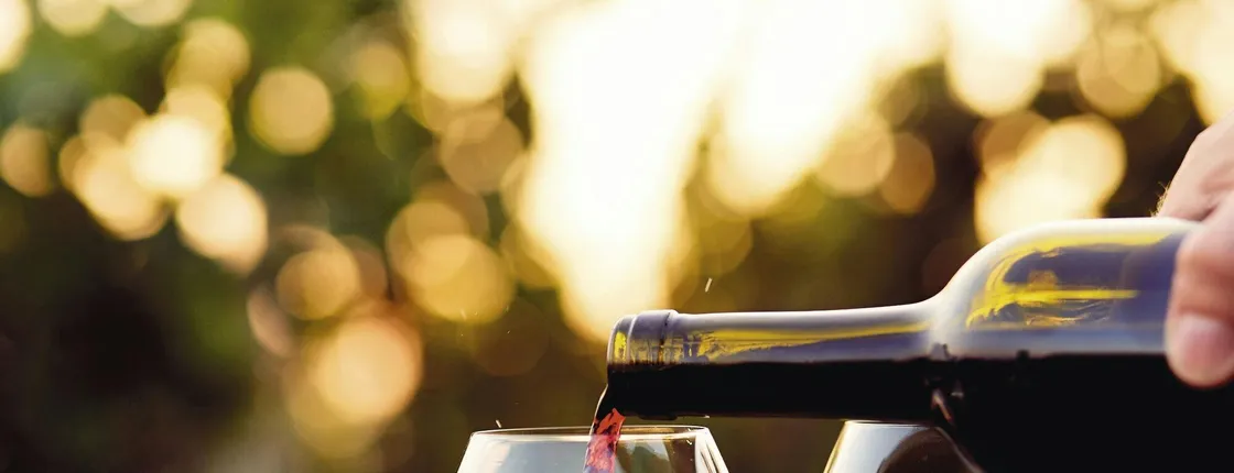 Vineyard tour and wine-tasting in Calabria
