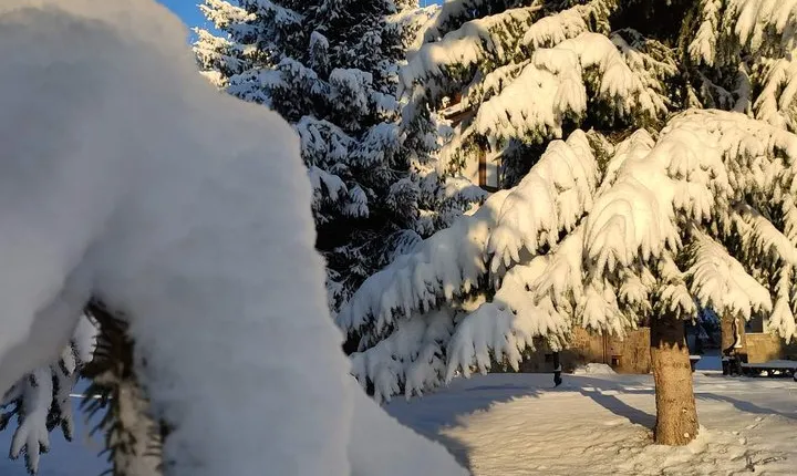 Private Snowshoeing Vitosha for 1 day