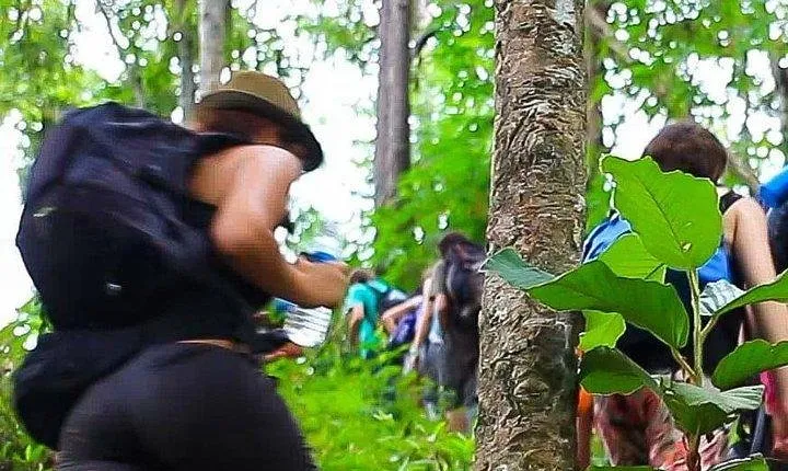 3D2N Mae Wang Jungle Trekking Adventure from Chiang Mai