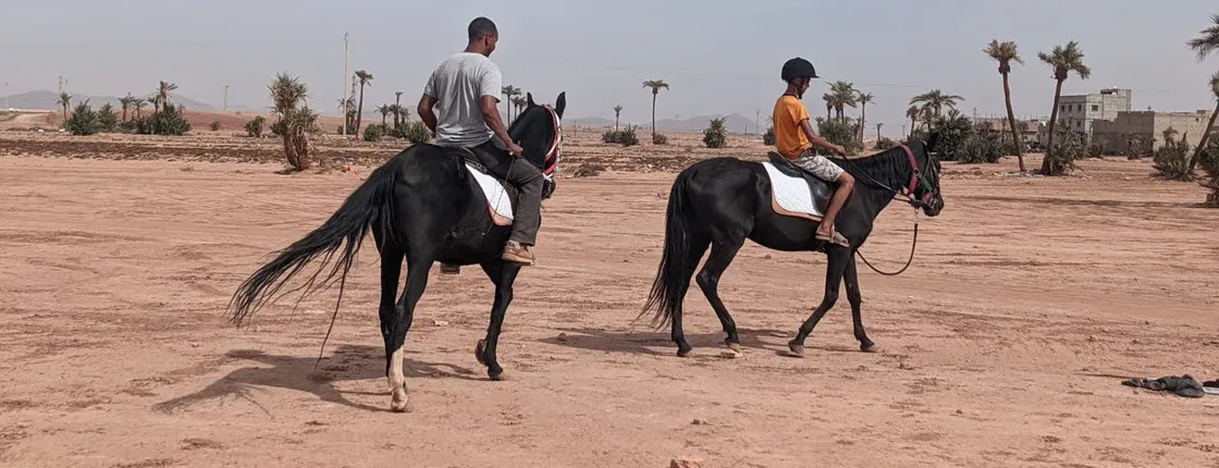 1-hour horse ride in the palm grove near Marrakech