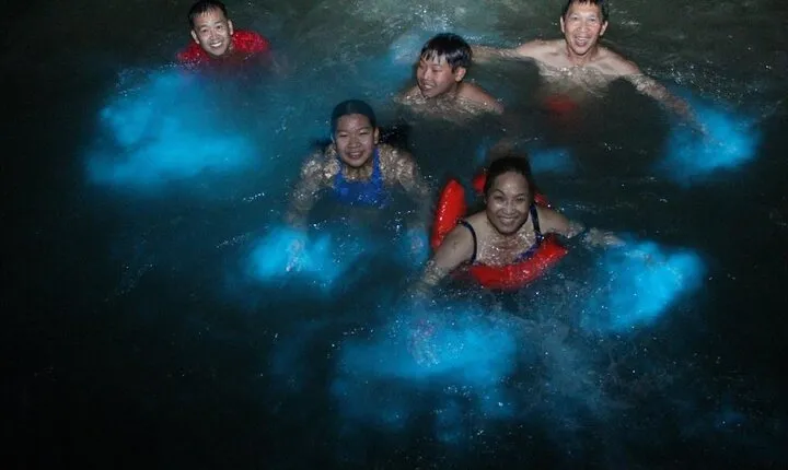 Half-Day Private Tour to Martha Brae and Luminous Lagoon