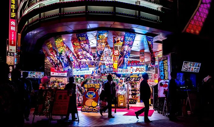 Weird Kyoto: A Day of the Bizarre and Quirky
