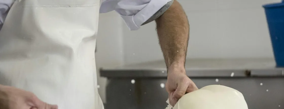 Cheese Experience in Menorca with Workshop and Tasting