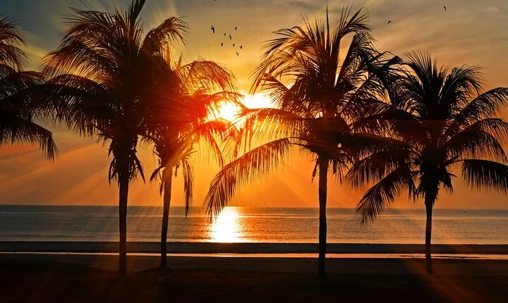 Catamaran to Isla Mujeres at sunset pick up Cancun