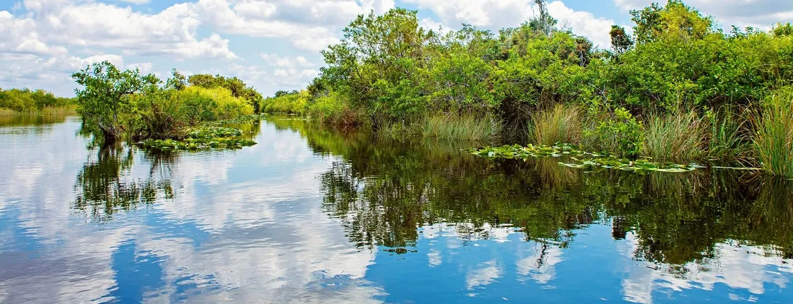 Everglades Tour from Miami