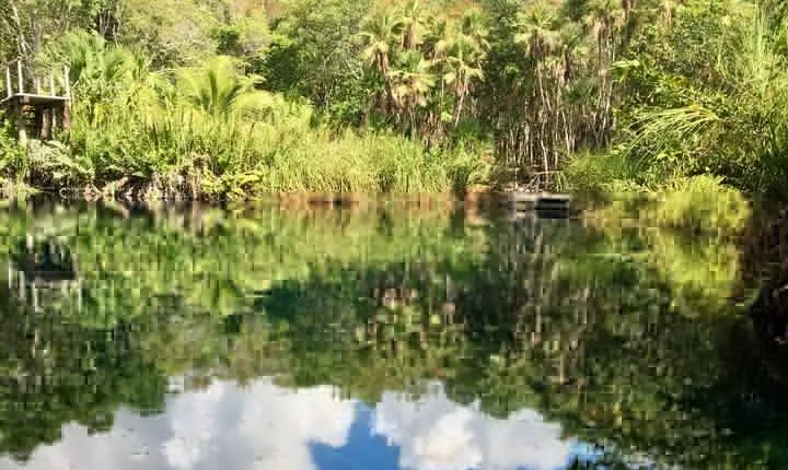 Cenote, jungle, bike & lunch