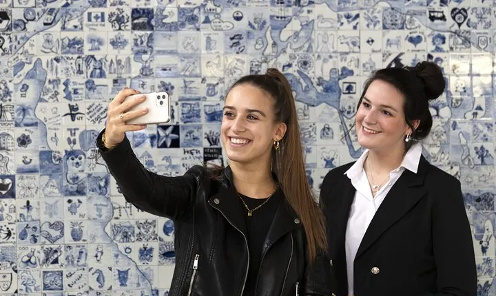 Royal Delft: Delftblue Factory and Museum Admission Ticket