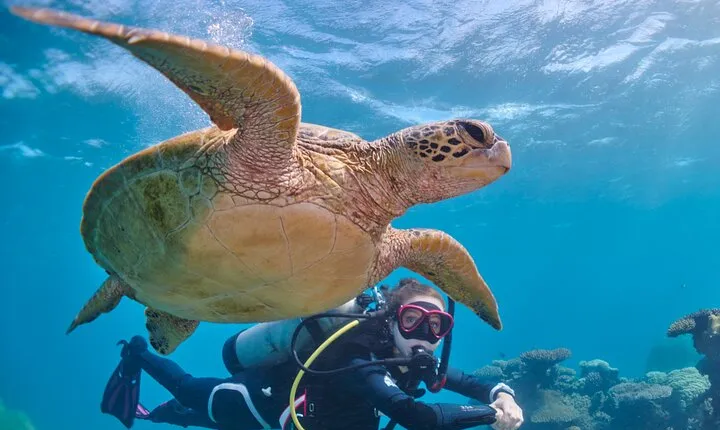 Miami Two Tank Dive Trip