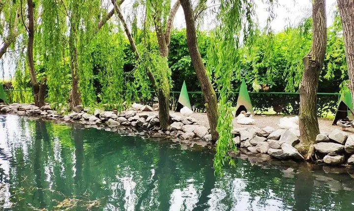 2 day Sheki and Qax Tour with 1 night stay at Wooden Cottage