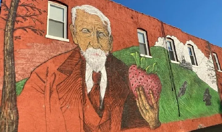 Strawberry Hill and Downtown KCK Hike