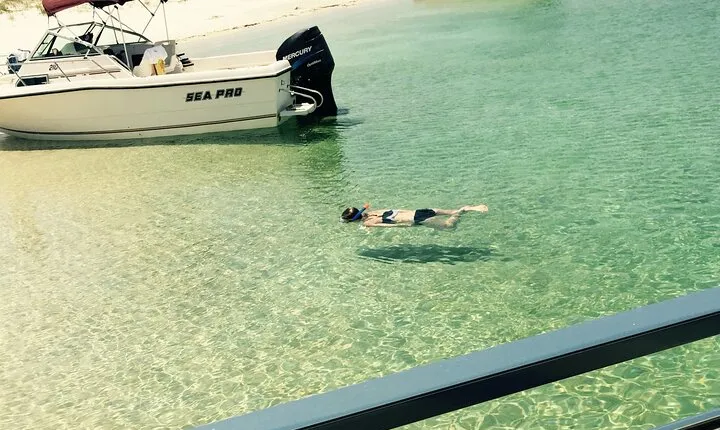Day Snorkeling Tour in Orange Beach