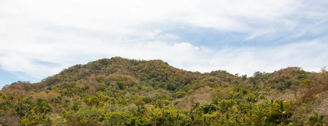 Vallarta Adventures Las Caletas Beach Hideaway