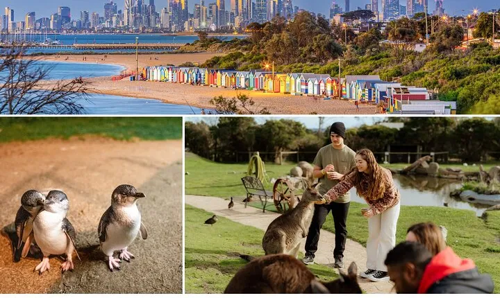 Melbourne: Penguin Parade , Koala & Brighton Bathing Boxes