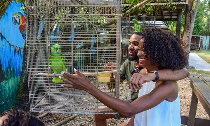 Rockland Bird Sanctuary plus Montego Bay Highlights & Shopping Private Tour