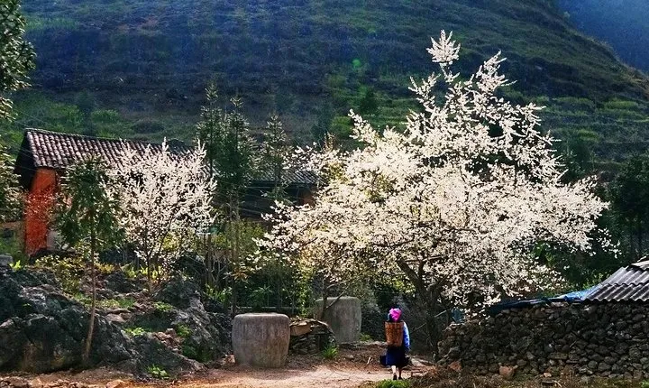2 Days Sapa Trekking In Cat Cat And Ta Van Village From Hanoi