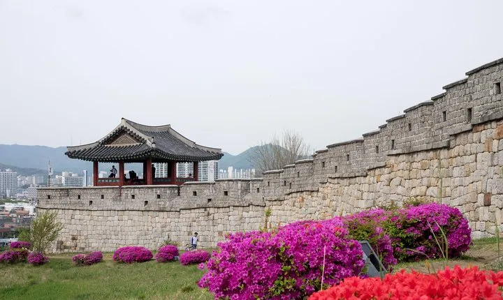 Korean Folk Village & Suwon Hwaseong Fortress Private Tour