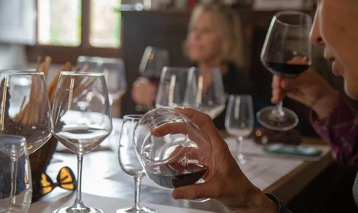 From Florence to Chianti Rufina: Wine Tasting Experience