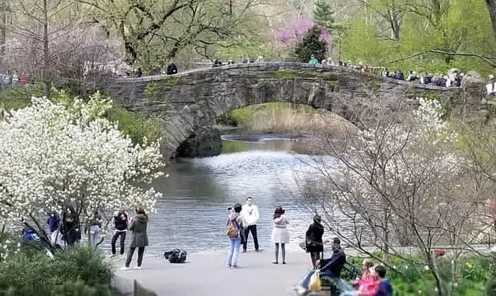 Central Park Secrets And Highlights