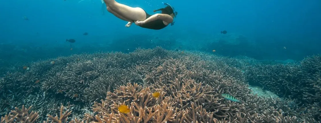 Nusa Lembongan with Manta Bay snorkelling all-inclusive tour