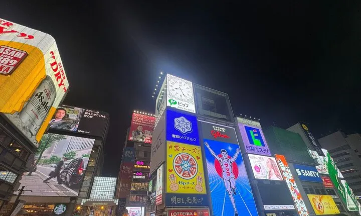 Osaka Private Customizable Sightseeing Tour with Chauffeur