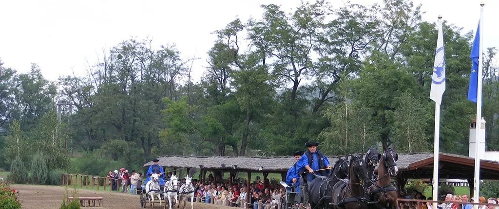 Half-day tour from Budapest with horse show and goulash soup