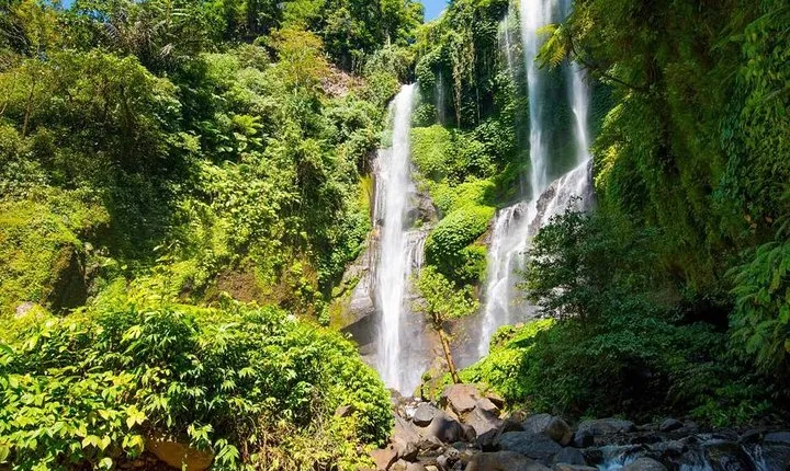 Bali Waterfalls Tour - One Day Private Tour