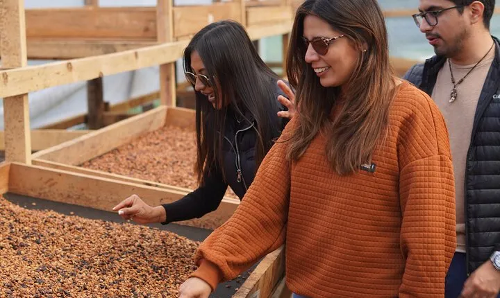 Half-Day Coffee Tour at a Coffee Plantation + Coffee Tasting