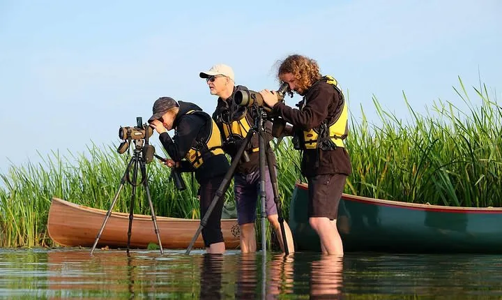 BIRDWATCH - Premium guided canoe tour at Cape Vente, Nemunas Delta Regional Park