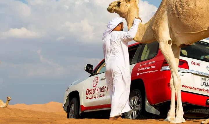 Sunset Camel Trekking Safari with Falcon Show & VIP BBQ Dinner